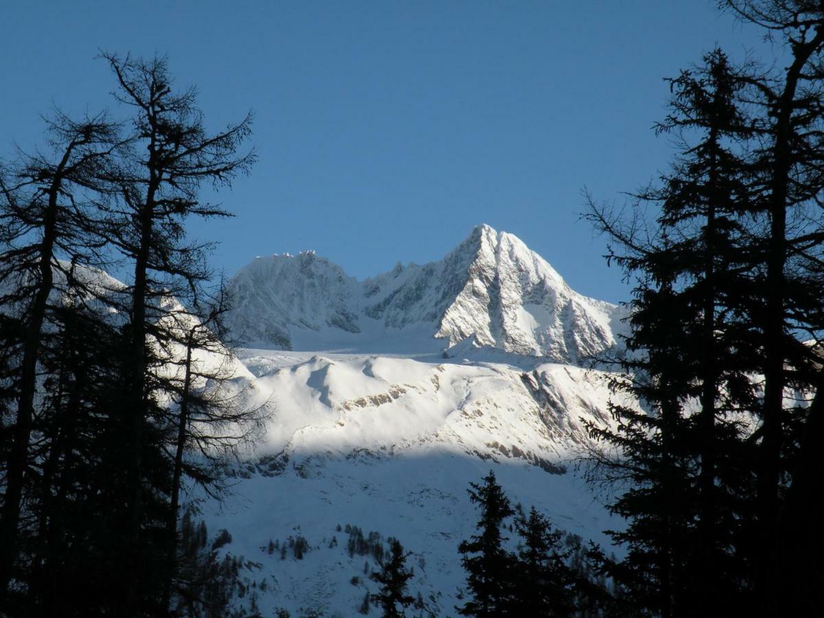 Haus Gartenheim Kals-am Großglockner エクステリア 写真